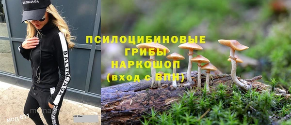 бошки Баксан
