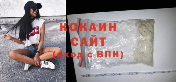 тгк Нея