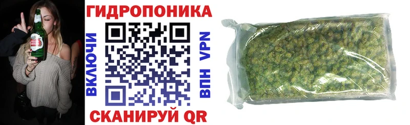 Купить закладки  Луза  Бошки Шишки OG Kush 